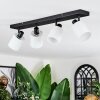 Fallhagen ceiling light, ceiling spotlight black, 4-light sources