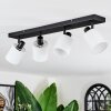 Fallhagen ceiling light, ceiling spotlight black, 4-light sources