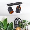 Fallhagen ceiling light, ceiling spotlight black, 2-light sources