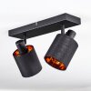 Fallhagen ceiling light, ceiling spotlight black, 2-light sources