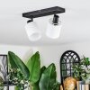 Fallhagen ceiling light, ceiling spotlight black, 2-light sources