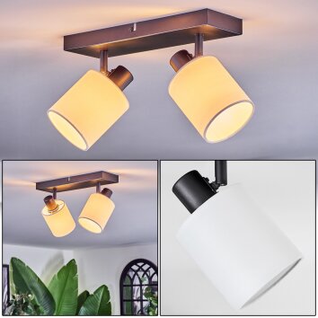 Fallhagen ceiling light, ceiling spotlight black, 2-light sources