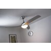 Globo PRIMO fan silver, white, 2-light sources, Remote control