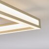 Danor ceiling light LED matt nickel, 1-light source