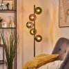 Gastor globe light, floor lamp 33 cm blue, chrome, green, coppery, Smoke-coloured, 5-light sources