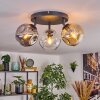 Ripoll ceiling light, globe light Amber, clear, Smoke-coloured, 3-light sources