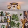 Ripoll ceiling light, globe light Amber, clear, Smoke-coloured, 3-light sources