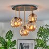 Ripoll ceiling light, globe light brass, black, 5-light sources