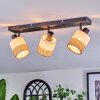 Fallhagen ceiling light, ceiling spotlight black, 3-light sources