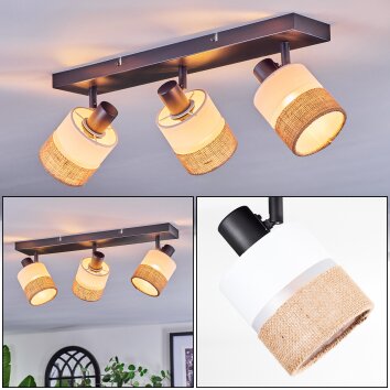 Fallhagen ceiling light, ceiling spotlight black, 3-light sources