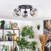 Koyoto ceiling light, globe light chrome, clear, Smoke-coloured, 3-light sources