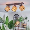 Ramila ceiling light, ceiling spotlight black, 3-light sources