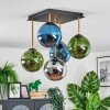 Gastor ceiling light, globe light gold, black, 5-light sources