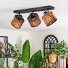 Cando ceiling light, ceiling spotlight black, 3-light sources