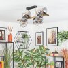 Ripoll ceiling light, globe light gold, black, 8-light sources
