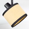 Chellas ceiling light, ceiling spotlight black, 4-light sources