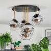 Ripoll ceiling light, globe light brass, black, 5-light sources