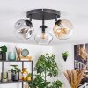 Ripoll ceiling light, globe light Amber, clear, Smoke-coloured, 3-light sources