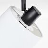 Bassagoda ceiling light, ceiling spotlight black, 2-light sources