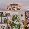 Ripoll ceiling light, globe light chrome, Smoke-coloured, 3-light sources