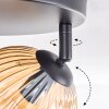 Koyoto ceiling light, globe light Amber, 3-light sources
