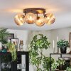 Chehalis ceiling light, globe light 30 cm Amber, 4-light sources
