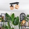 Granja ceiling light, ceiling spotlight black, 2-light sources
