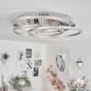 BUREN Ceiling Light LED matt nickel, 1-light source