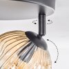Ripoll ceiling light, globe light Amber, clear, Smoke-coloured, 3-light sources