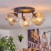 Ripoll ceiling light, globe light Amber, clear, Smoke-coloured, 3-light sources