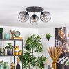 Koyoto ceiling light, globe light clear, Smoke-coloured, 3-light sources