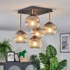 Ripoll ceiling light, globe light gold, black, 5-light sources