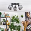 Ripoll ceiling light, globe light Smoke-coloured, 3-light sources