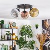 Ripoll ceiling light, globe light chrome, gold, clear, coppery, Smoke-coloured, 3-light sources