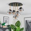 Ripoll ceiling light, globe light brass, black, 5-light sources