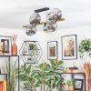 Ripoll ceiling light, globe light gold, black, 8-light sources