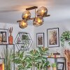 Ripoll ceiling light, globe light gold, black, 8-light sources