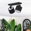Bassagoda ceiling light, ceiling spotlight black, 2-light sources