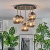 Ripoll ceiling light, globe light brass, black, 5-light sources