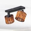 Cando ceiling light, ceiling spotlight black, 2-light sources