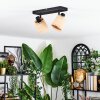 Lindberg ceiling light, ceiling spotlight black, 2-light sources