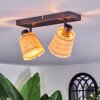 Lindberg ceiling light, ceiling spotlight black, 2-light sources