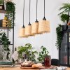 Lindberg hanging light, pendant light Ecru, black, 4-light sources