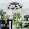 Chehalis ceiling light, globe light chrome, clear, Smoke-coloured, 4-light sources
