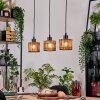 Cando hanging light, pendant light Ecru, black, 3-light sources