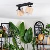 Bongal ceiling light, ceiling spotlight black, 2-light sources