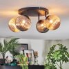 Chehalis ceiling light, globe light Amber, Smoke-coloured, 4-light sources
