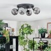 Chehalis ceiling light, globe light Smoke-coloured, 4-light sources