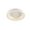 WOFI CAMERON Ceiling Light LED white, 1-light source, Remote control