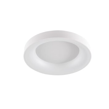WOFI CAMERON Ceiling Light LED white, 1-light source, Remote control